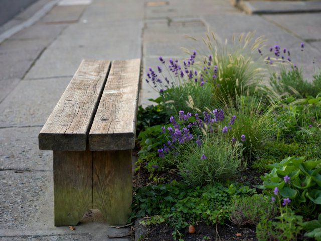 Close-up of a timber bench slat beside low street planting with soft focus on the pavement behind